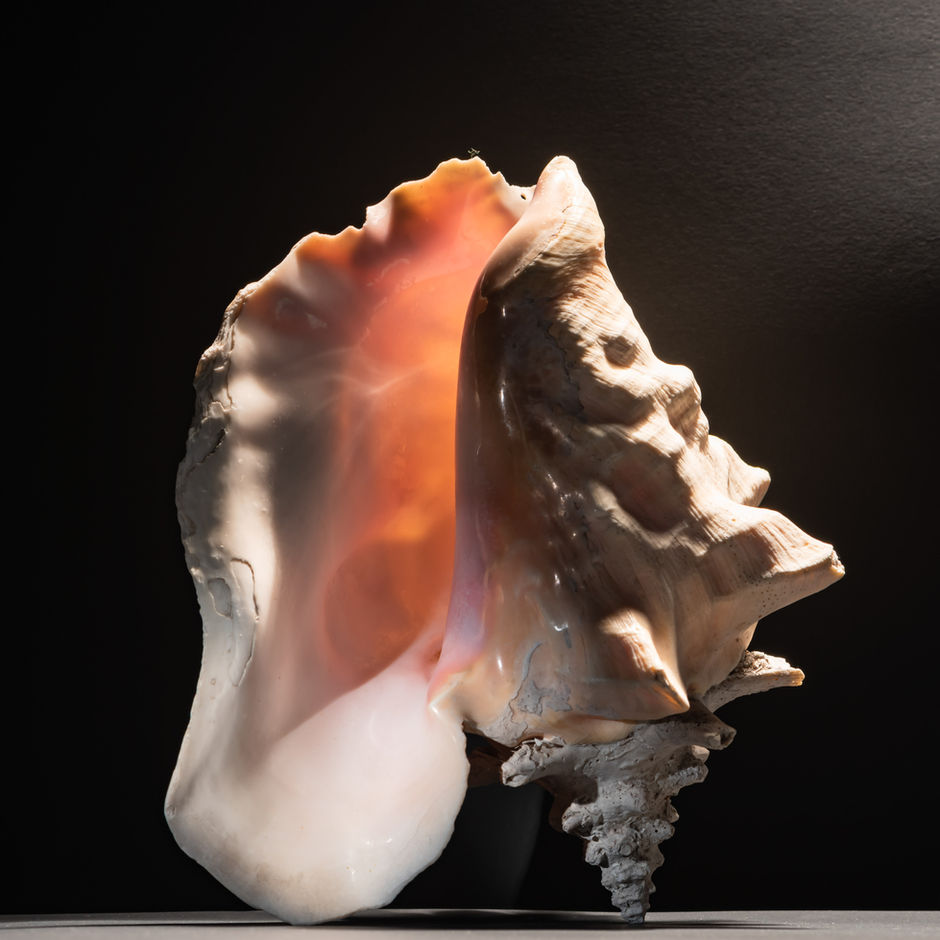 Crea Ilaria11100.jpg