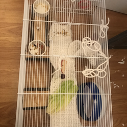 A new layout for Archie.