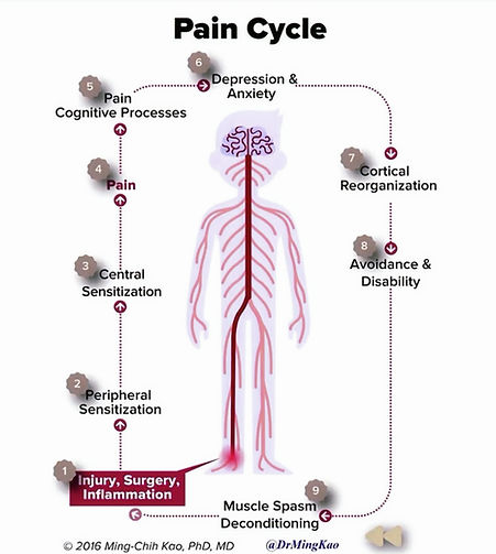 Standford Pain 1_edited.jpg