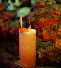 Maries Tek Tec Drink #2.JPG