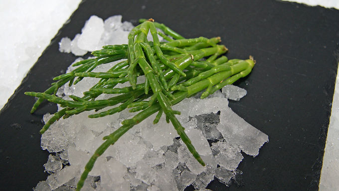 Samphire Grass 250g