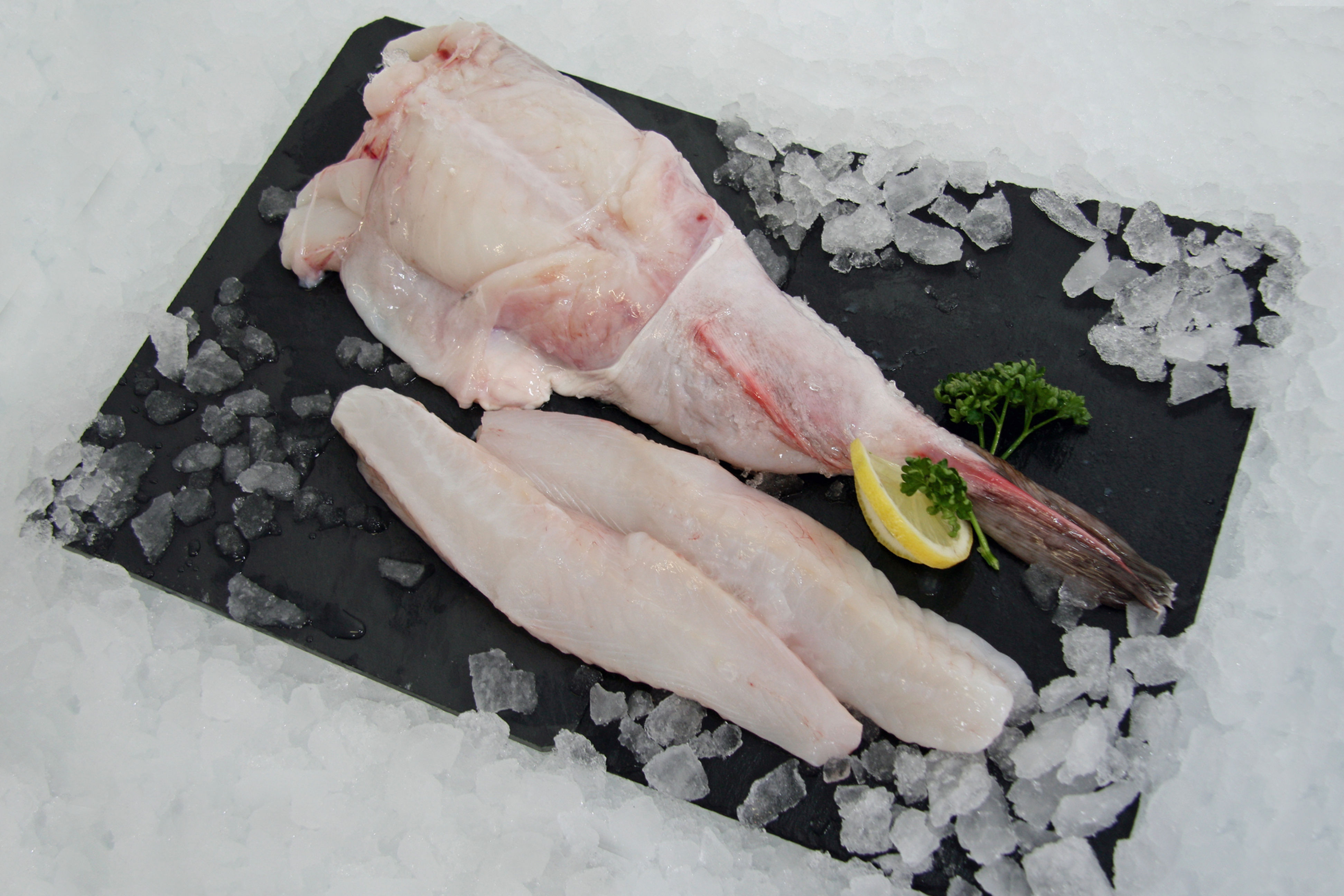 Monkfish Tail  500g - 1 Kg