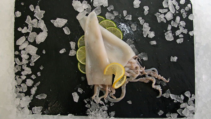 Squid 500g