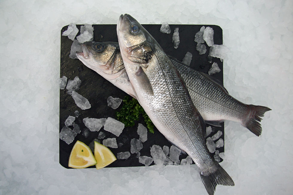 SEA BASS