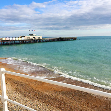 OUT + ABOUT: HASTINGS