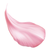 359338620_380577fc-a7a0-4e36-b60e-4de7c48a40c4-Photoroom_edited.png
