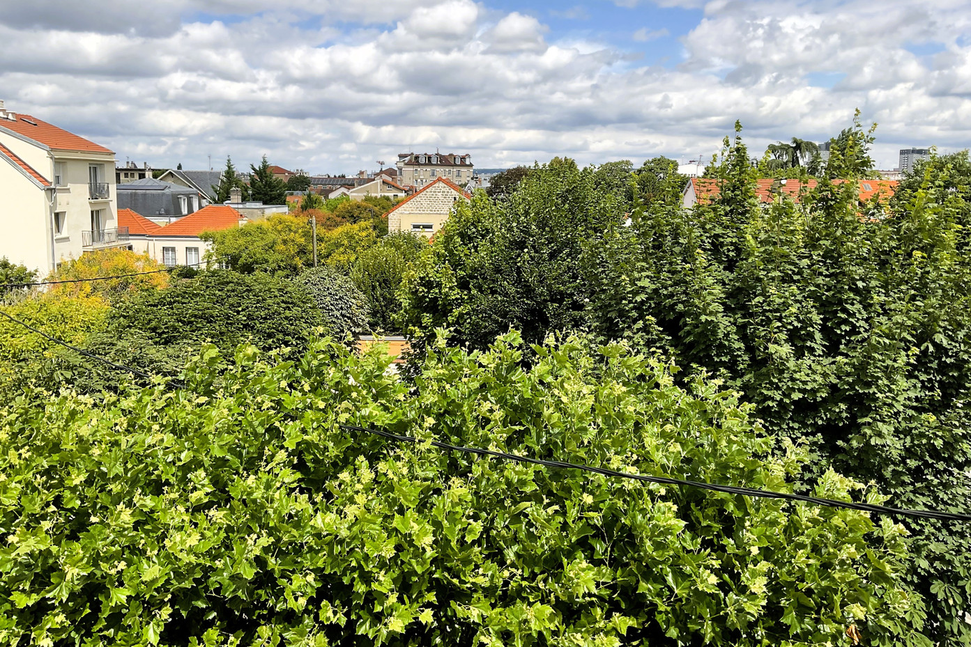 Vue principale