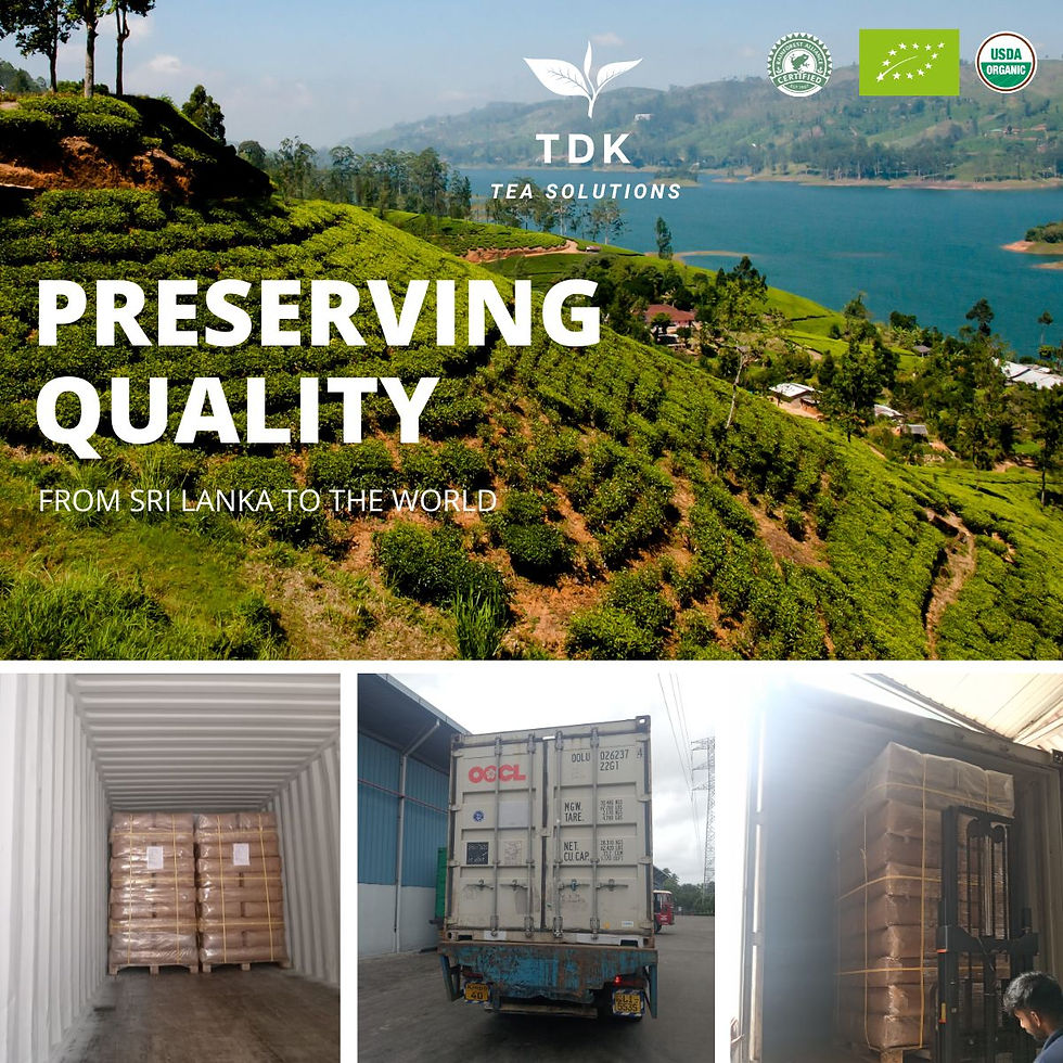 TDK Jan Week 1 (2).jpg