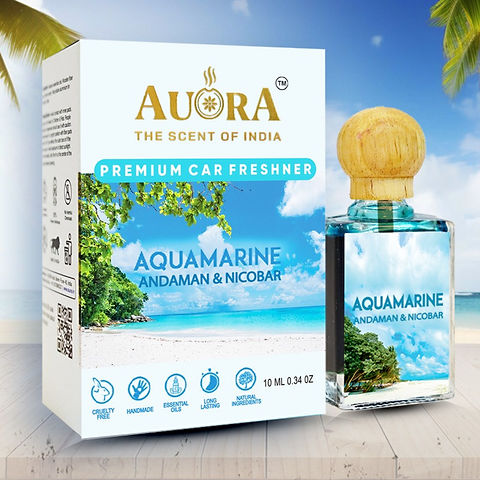 Natural Reed Diffuser, scent diffuser for car and home, Natural, Handmade, Vegan, Premium Car Freshener Liquid with diffuser. car perfume, home fragrance, home freshner, Indian, organic