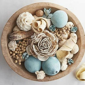 WhatsApp Image 2026-01-19 at 16.08.50 (1).jpeg