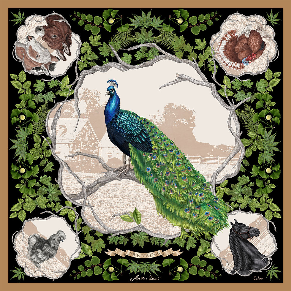 Martha Stewart x Echo