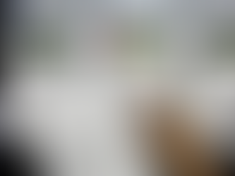 电表度数怎么看?知道这些,更好的帮你省钱!