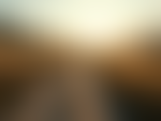 Effective Leadership Strategies for Corporate Managers