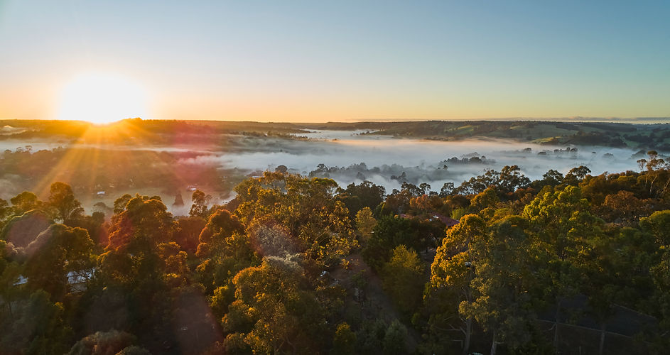 Bridgetown  Southern Forests and Valleys (105) (1).jpg