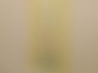 新年度が始まりました!