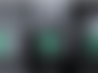 BRYD MED ESG KONVENTIONEN OG FÅ ORDEN I PENALHUSET