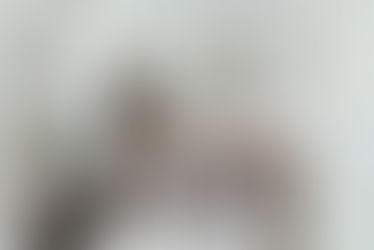 City Council Creates New Incentive to Build More Affordable ‘Granny Flats’