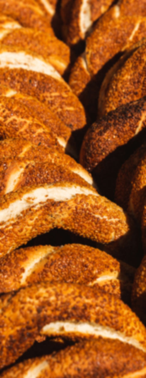 edibleistanbul1.jpg
