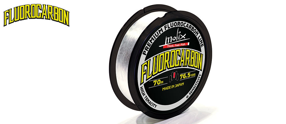 Fluorocarbon Molix made in Japan