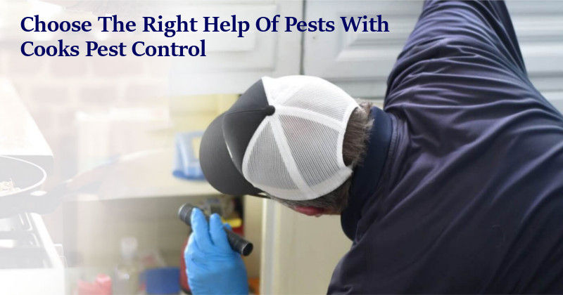 Cooks Pest Control