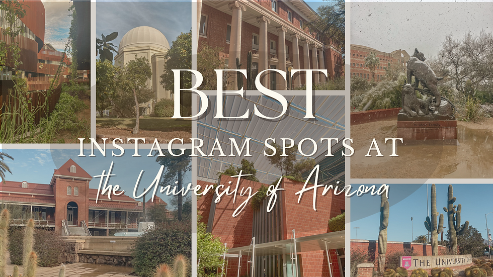 Collage of spots around campus
