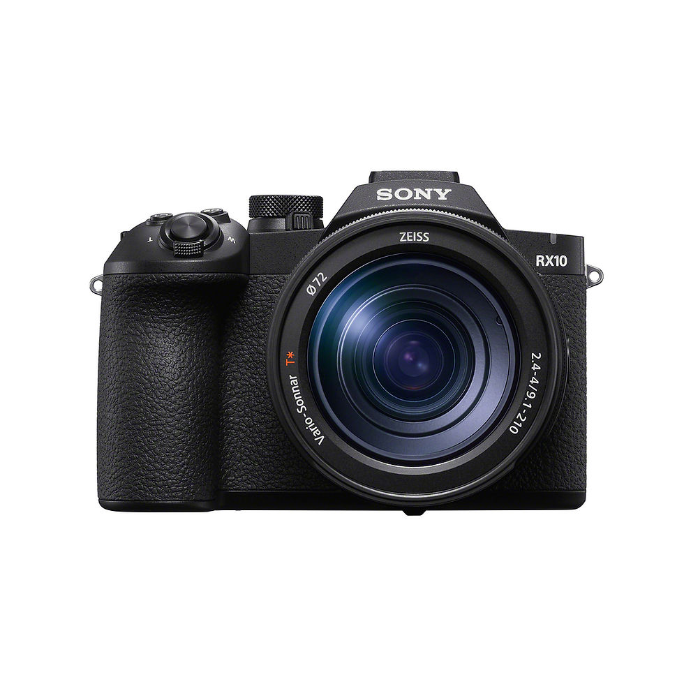 Sony DSC-RX10 Mark V 24-600mm
