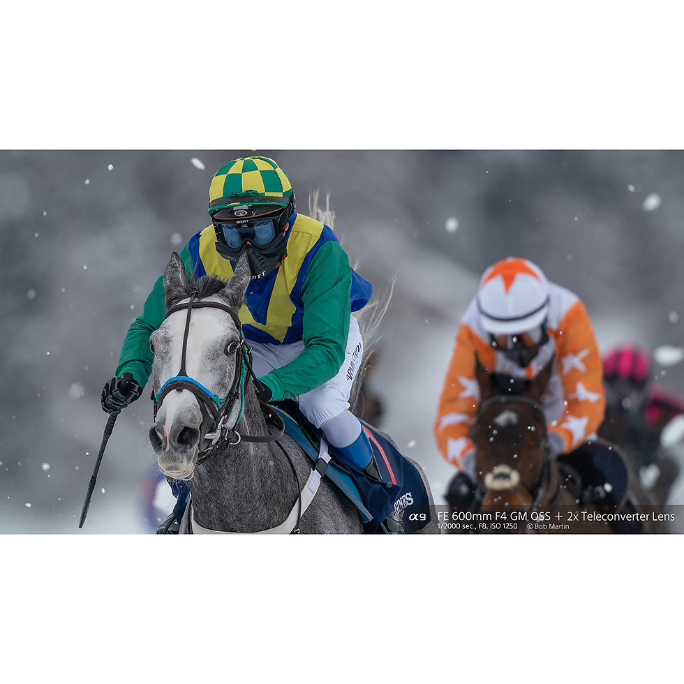 Thumbnail: Sony FE 600mm 4.0 GM OSS