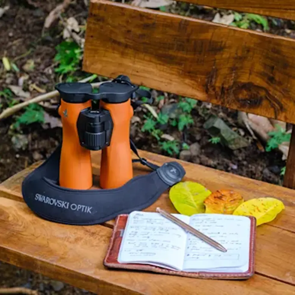 Миниатюра: Swarovski NL Pure 10x42 Burnt Orange