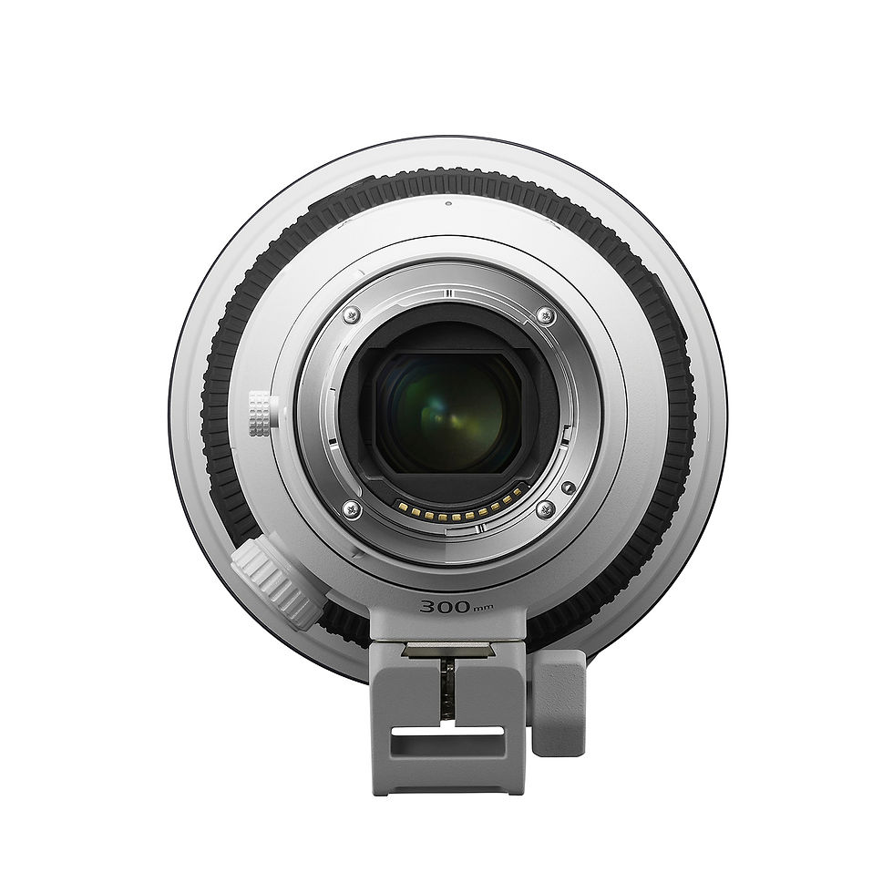 Miniature : Sony FE 300mm 2.8 GM OSS