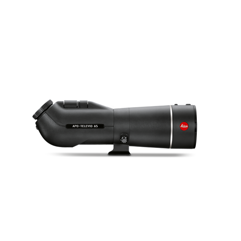 Leica APO- Televid 62 Winkeleinblick