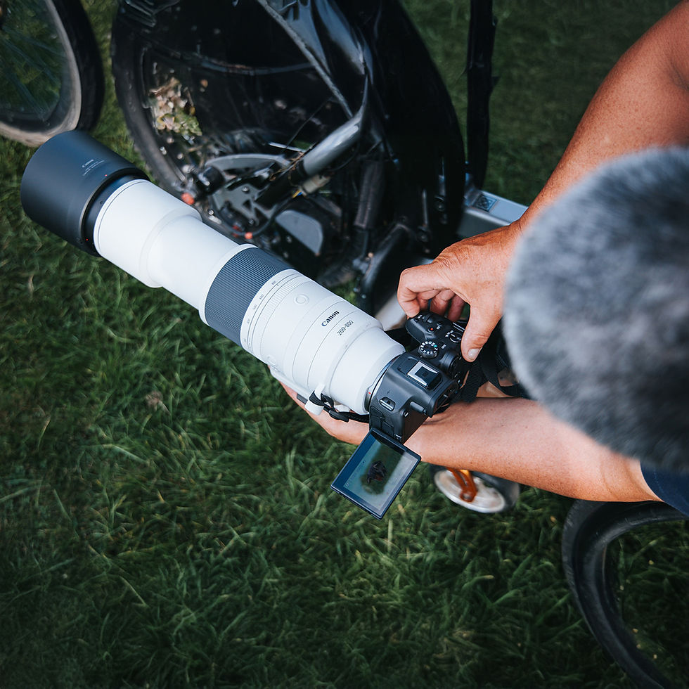 Canon RF 200-800mm 6.3-9 IS USM