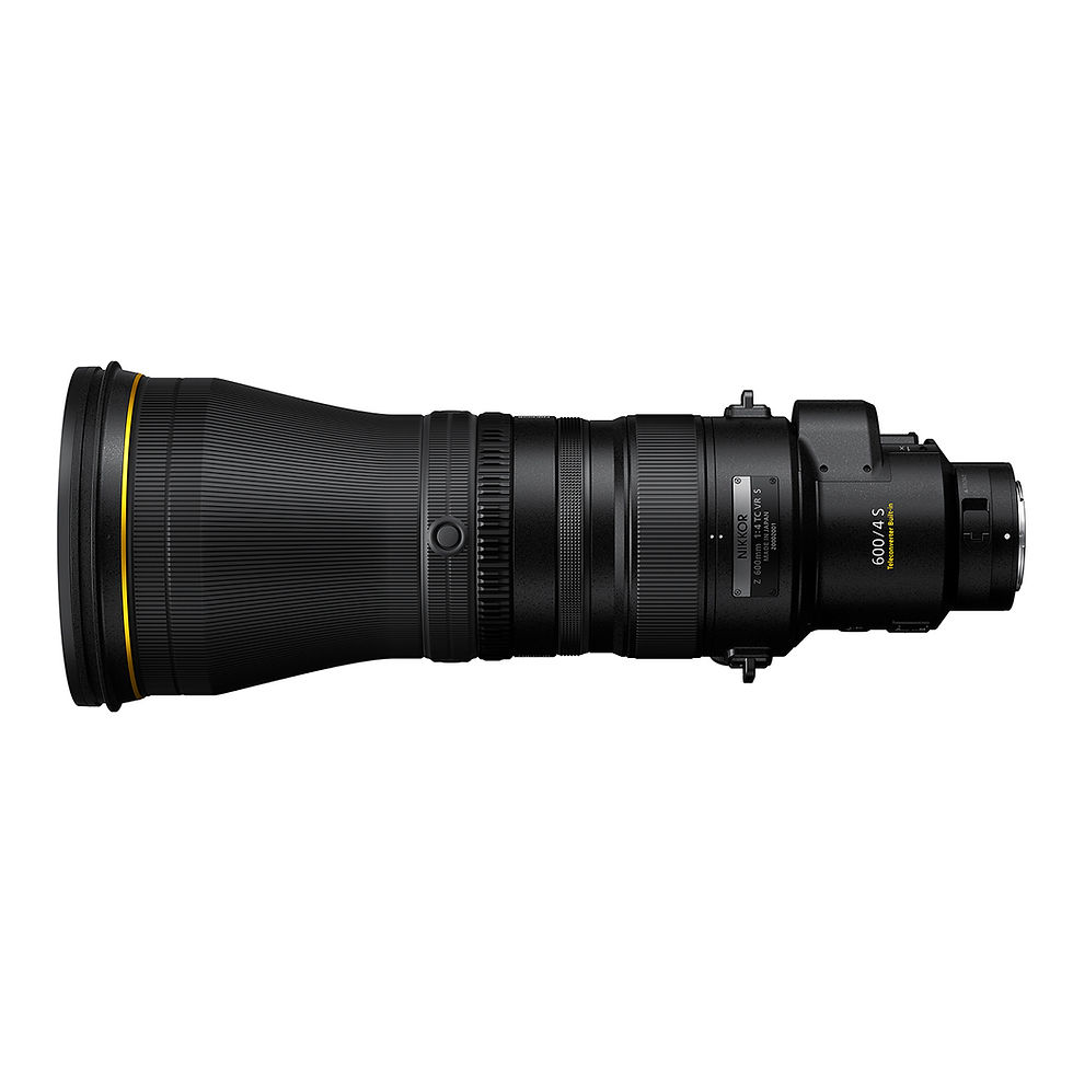 Миниатюра: Nikon Z 600mm 4.0 TC VR S