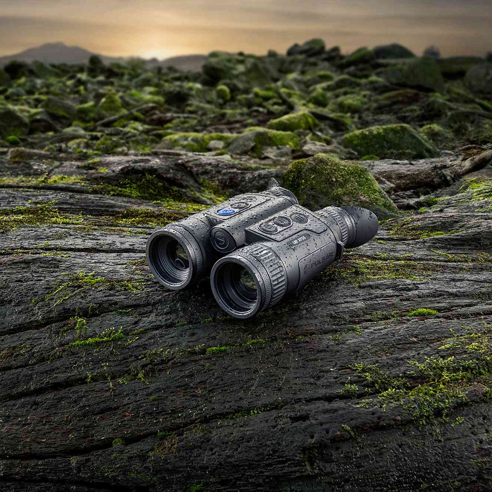 Miniature : Pulsar Merger  LRF  XP35 Bino
