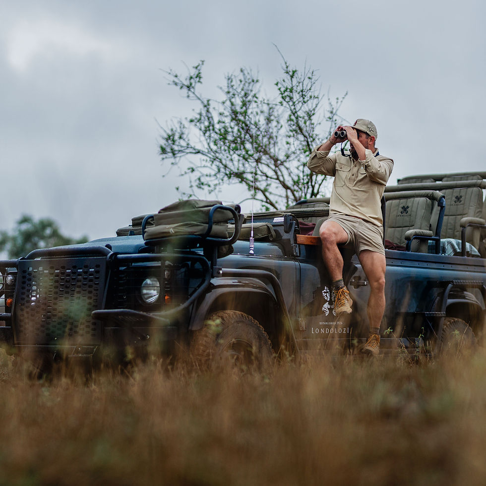 Miniaturbild: Swarovski CL Companion  10x30 Braun