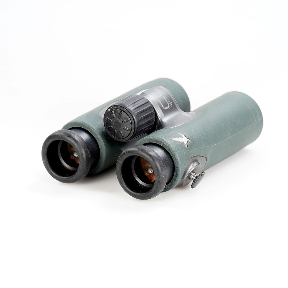 Miniaturbild: Swarovski CL Companion 8x 30 gebraucht