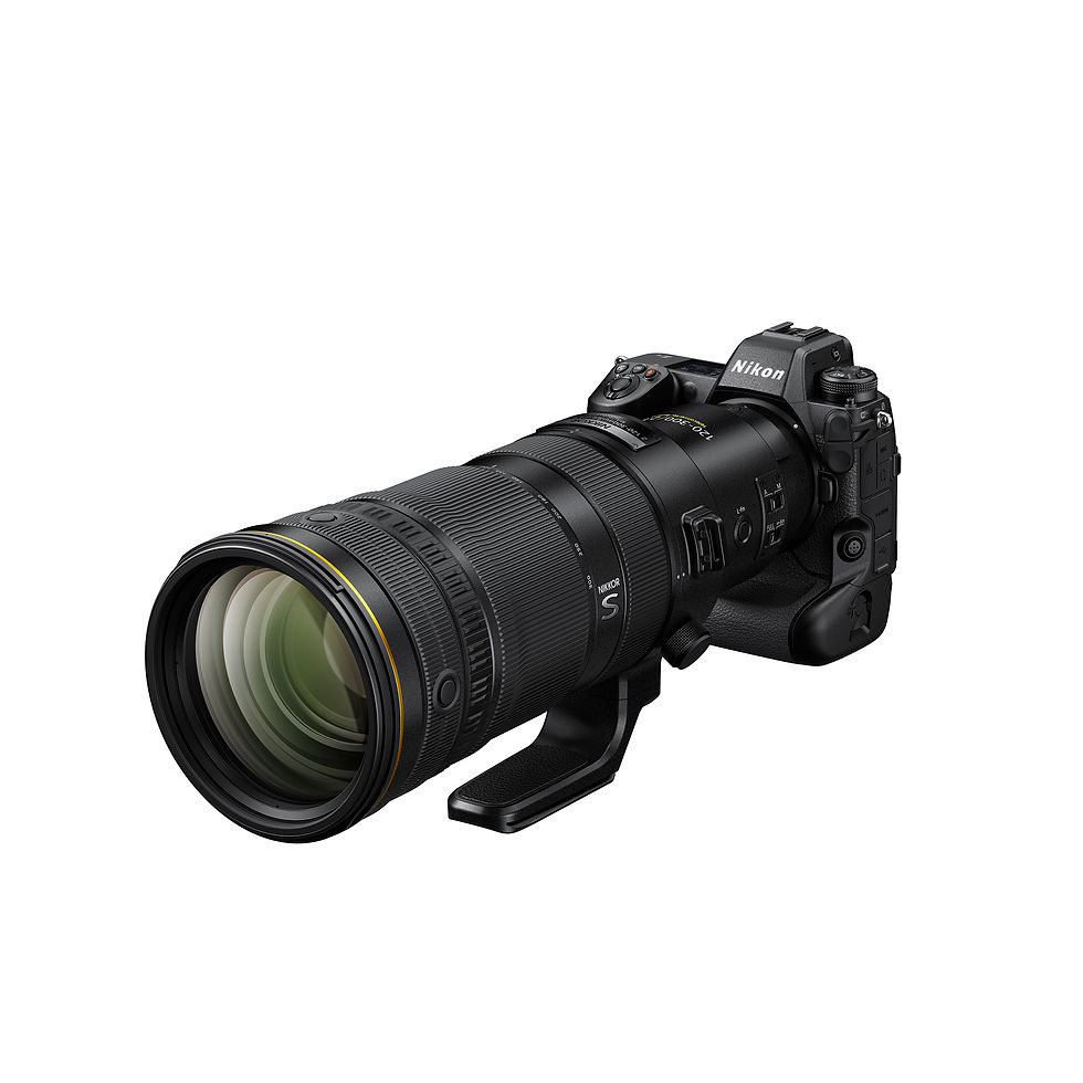 Miniatura: Nikon Z 120-300mm 2.8 TC VR S