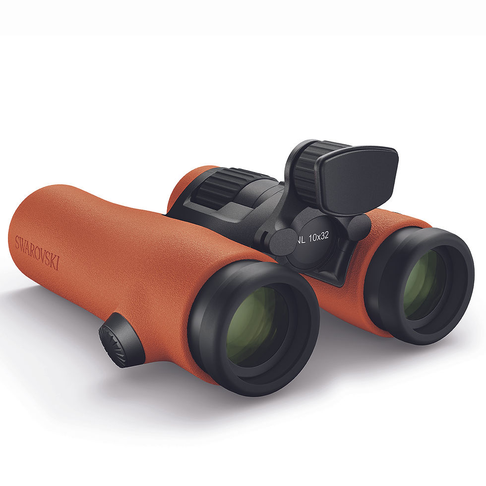 Swarovski NL Pure 10x32 burnt orange