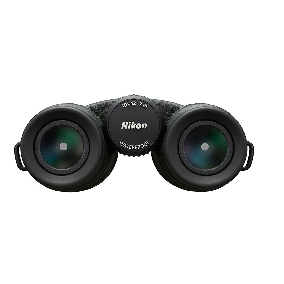 Nikon PROSTAFF P7 10X42