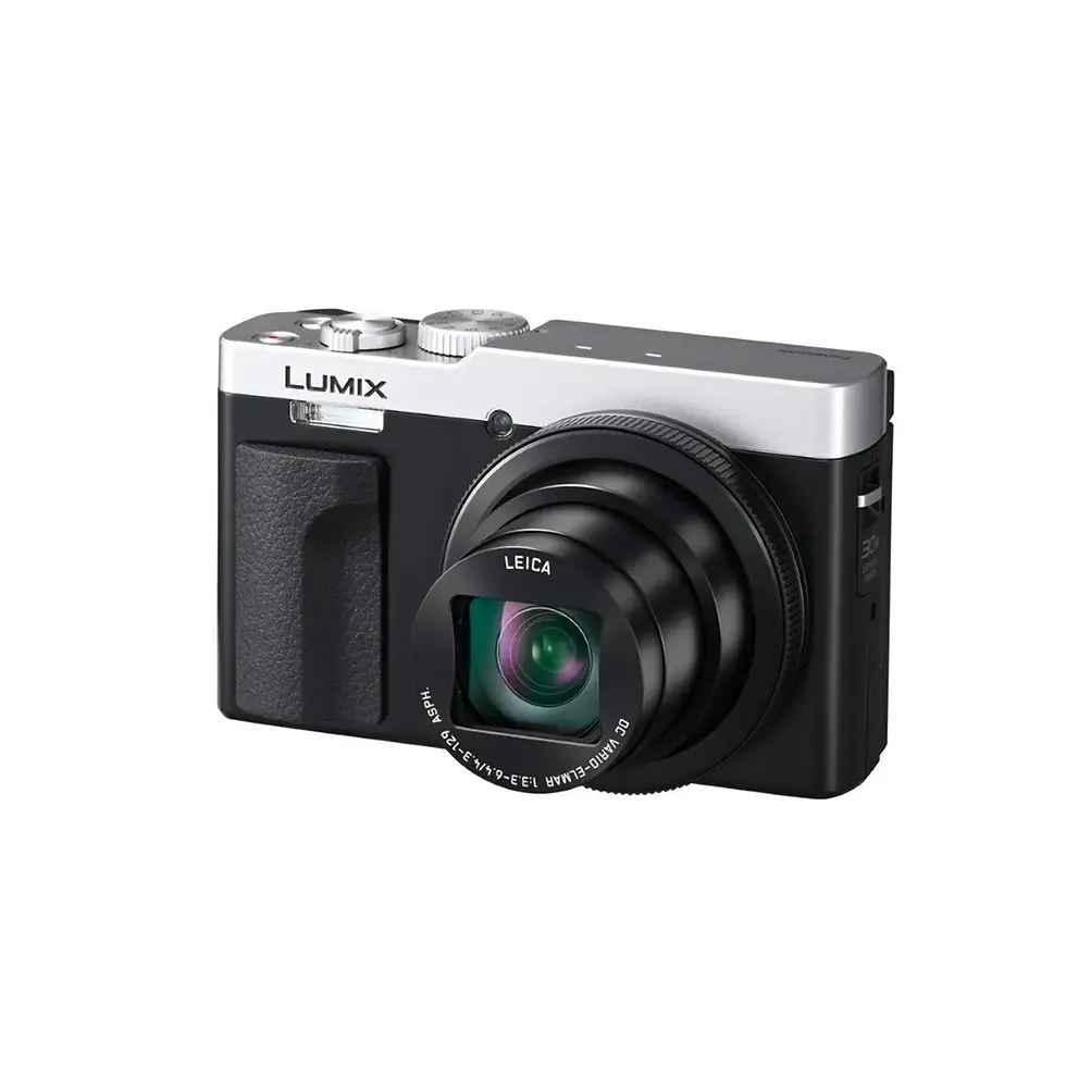 Panasonic TZ 99 Silber
