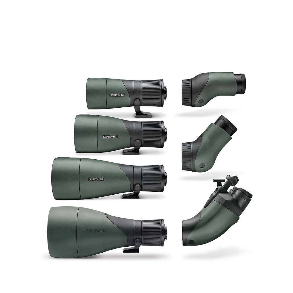 תמונה ממוזערת: Swarovski ATX Okularmodul