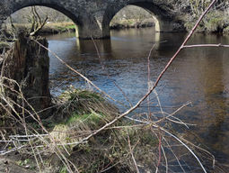 April Carse Churches’ Walk