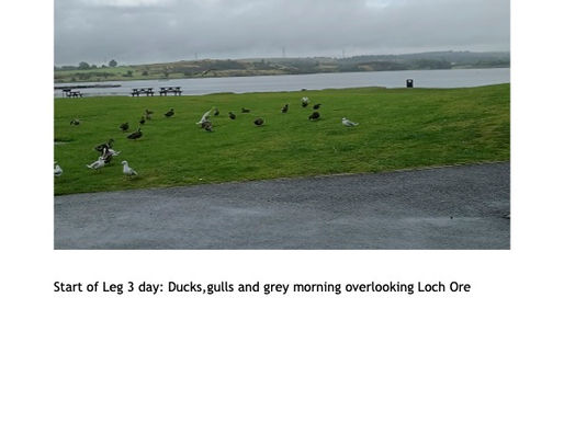 Fife Pilgrim Way: Leg 3a in picture (Lochore Meadows to Markinch)