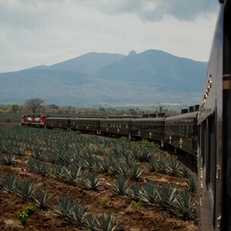 Diageo apuesta por los cócteles en lata para recuperar el crecimiento de ventas