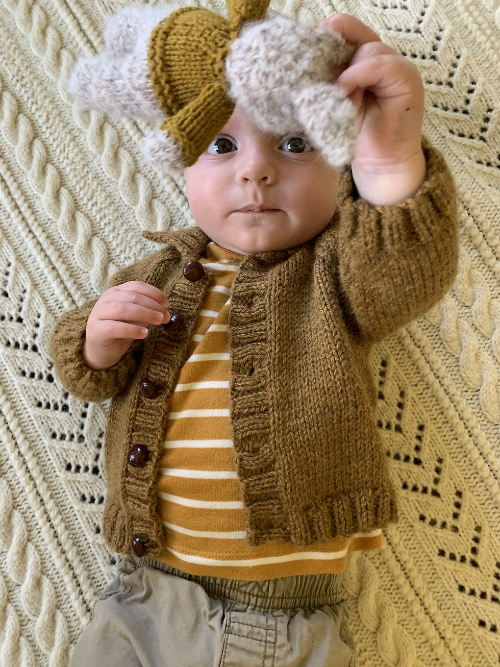 Thumbnail: Basic Cardigan Custom Kit