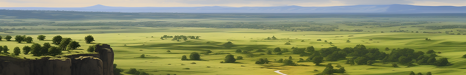 plains1long.png