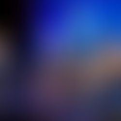 2024: A Year of Impact & Achievement at Shir for Life