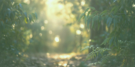 aaf05755c_generated_c87a1ddd_edited_edited.png