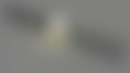 ECONOMIC & FIXED INCOME COMMENT - There is Light