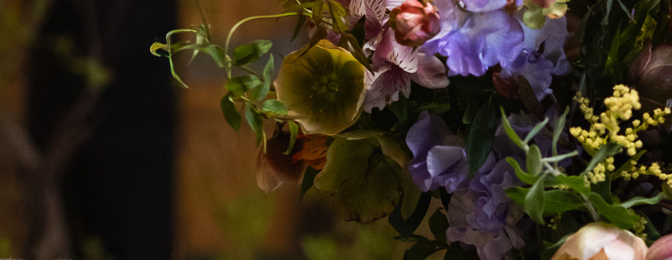 Natelia-Faller-Photography-51.jpg