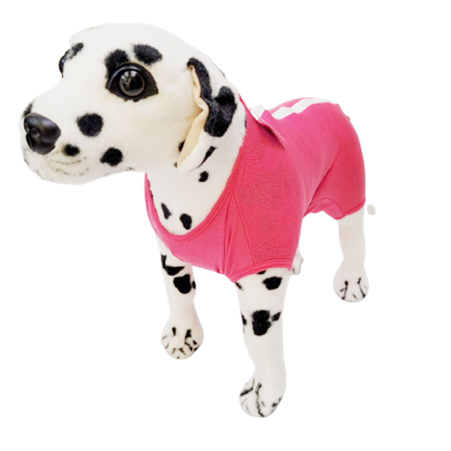 Miniatura: Roupa pós cirúrgica pet para machos e fêmeas  Tam 01 a 03